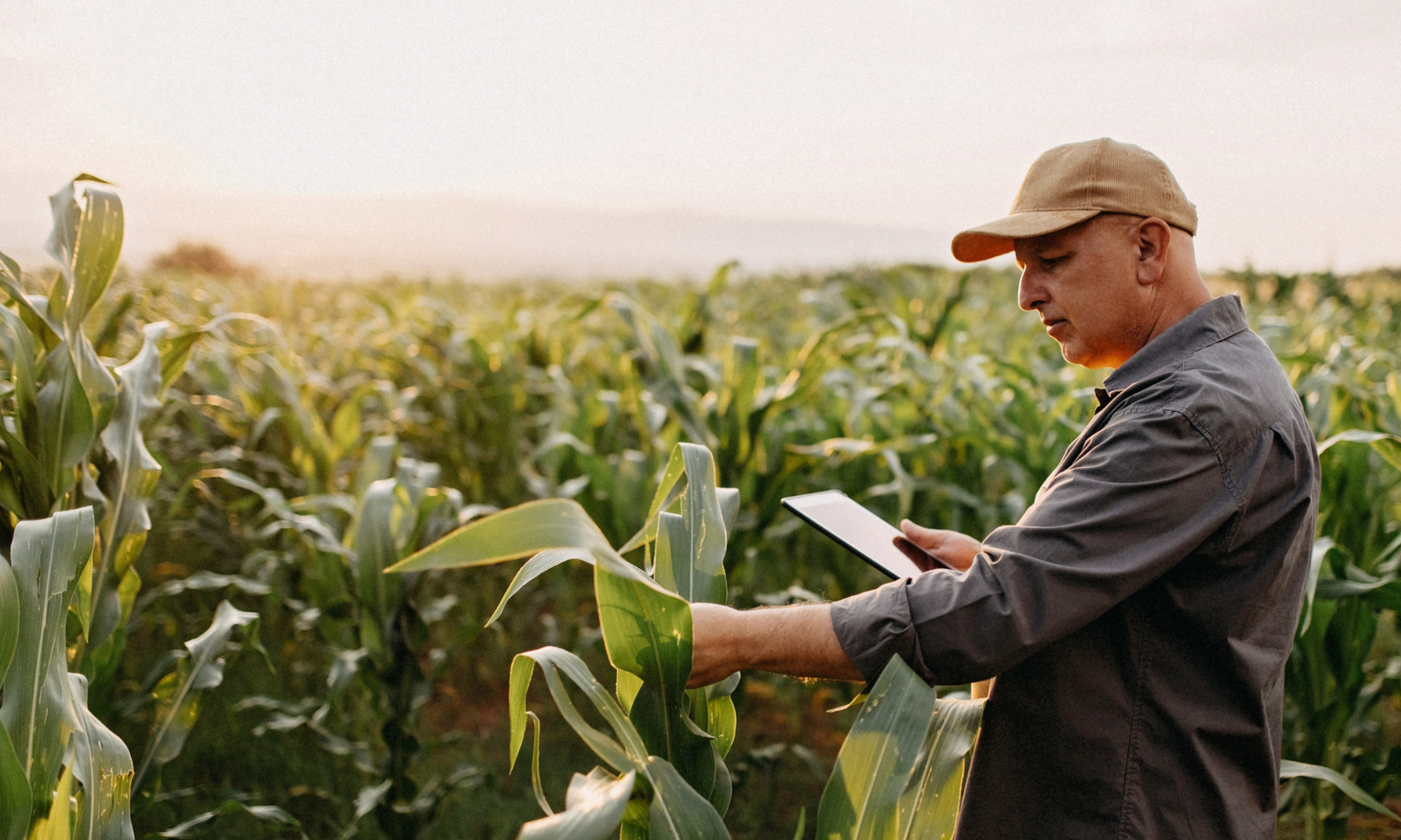 Ohio Farm Insurance Coverage